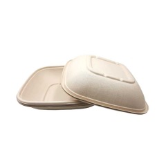 Bagasse Square Container 32oz With PET lid 1x300pcs