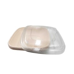 Bagasse Square Container 32oz With PET lid 1x300pcs