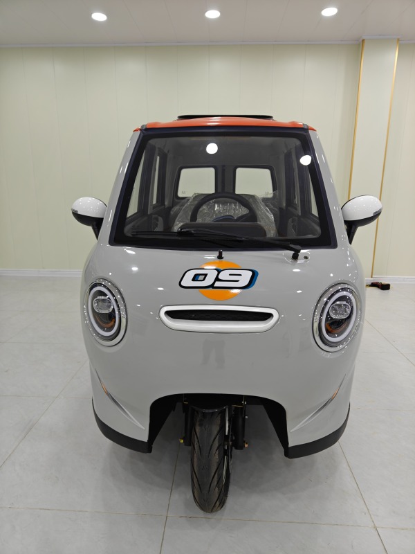 60V2000W High Quality Fully Enclosed Electric Tricycle, Electric Motorcycle