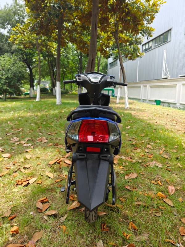2024 New Fashion Two-Wheel Electric Scooter, Affordable and High Quality