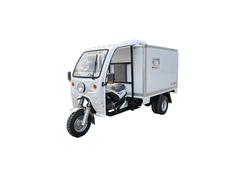 Three-Wheeled Ice Cream and Food Refrigerated Truck, Exterior Color Can Be Customized