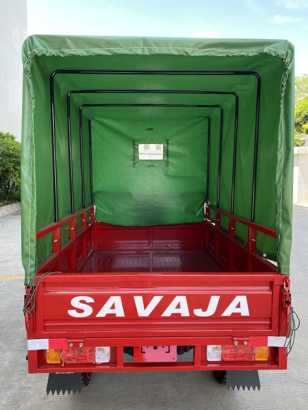 200cc High Quality Hot Selling Adult Large Capacity Three Wheel Passenger Vehicle