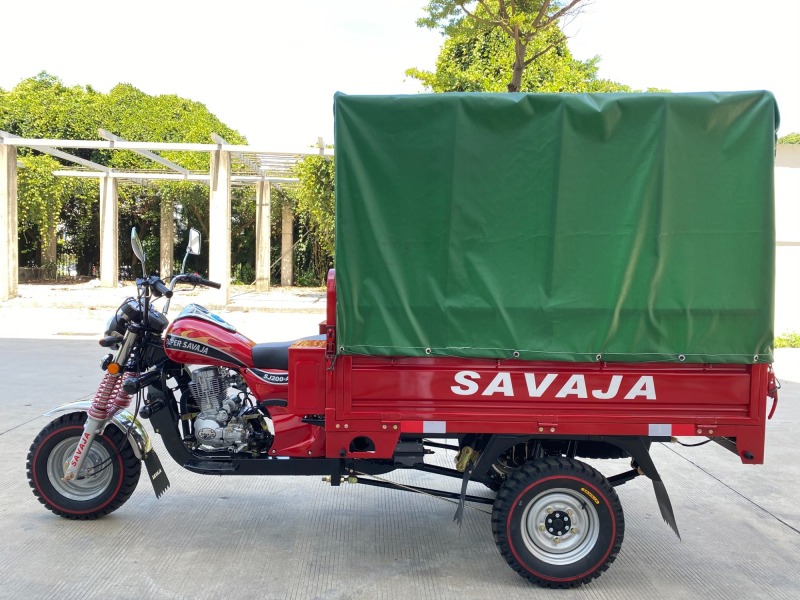 200cc High Quality Hot Selling Adult Large Capacity Three Wheel Passenger Vehicle