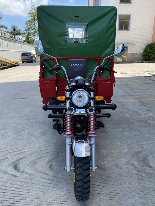 200cc High Quality Hot Selling Adult Large Capacity Three Wheel Passenger Vehicle