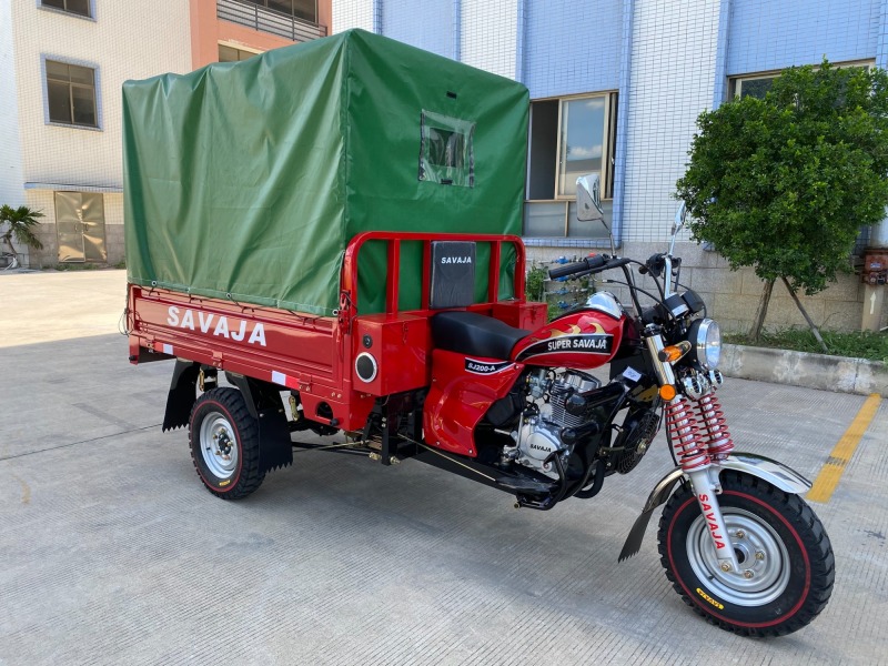 200cc High Quality Hot Selling Adult Large Capacity Three Wheel Passenger Vehicle