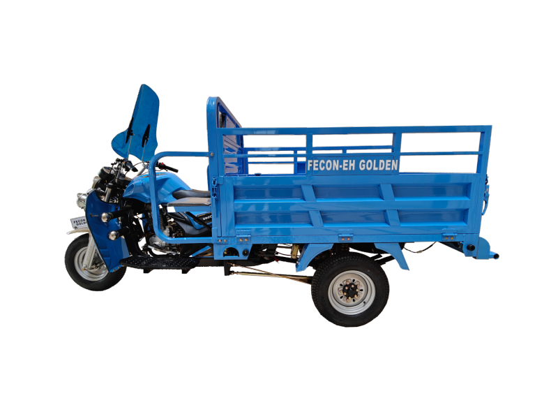 200cc Heavy Duty Three Wheel Motorcycle, Multi-Purpose Cargo Tricycle Suitable for Agricultural Use