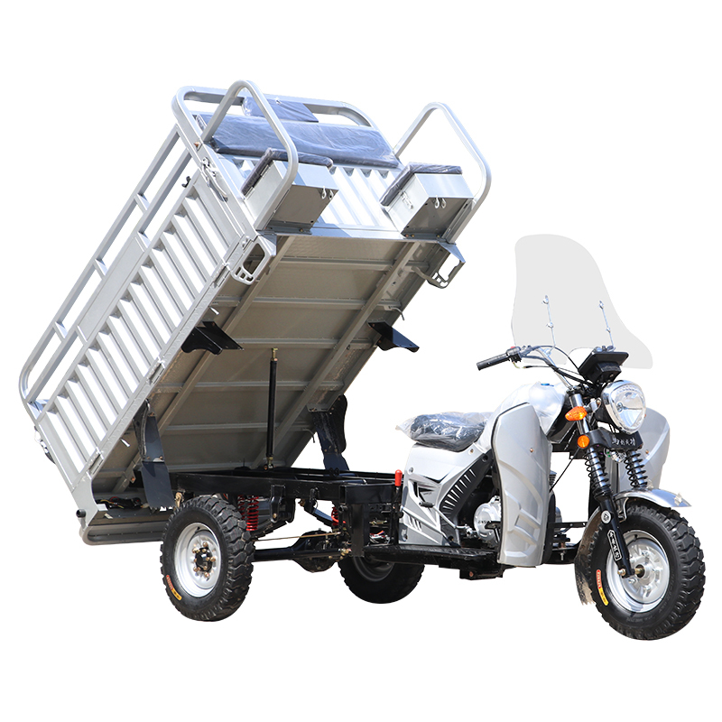 2025 New Chinese Export Gasoline Cargo Three-Wheeled Motorcycle with Windshield