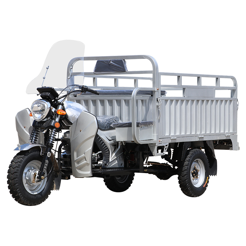 2025 New Chinese Export Gasoline Cargo Three-Wheeled Motorcycle with Windshield