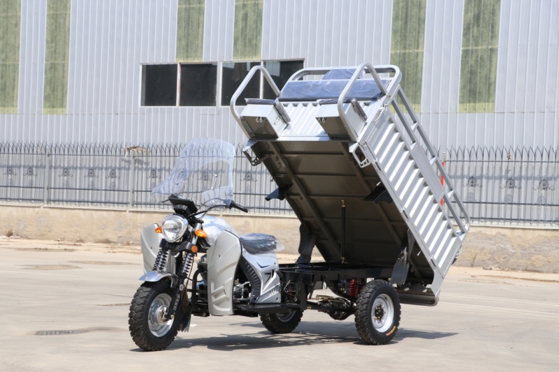 2025 New Chinese Export Gasoline Cargo Three-Wheeled Motorcycle with Windshield