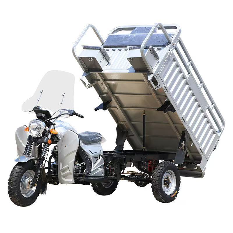 2025 New Chinese Export Gasoline Cargo Three-Wheeled Motorcycle with Windshield