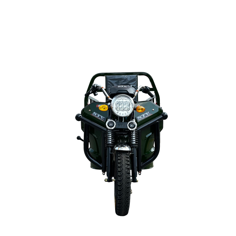 Affordable Adult Electric Tricycle for All Your Delivery Needs