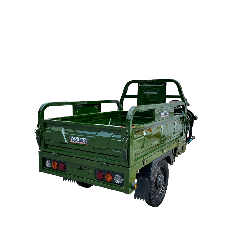 Affordable Adult Electric Tricycle for All Your Delivery Needs