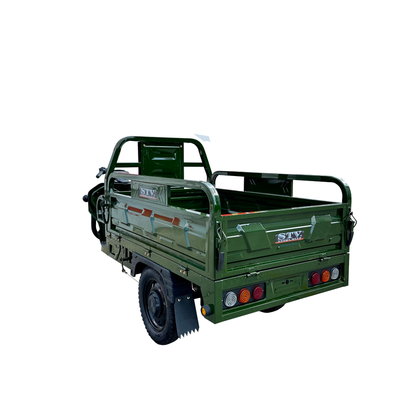 Affordable Adult Electric Tricycle for All Your Delivery Needs