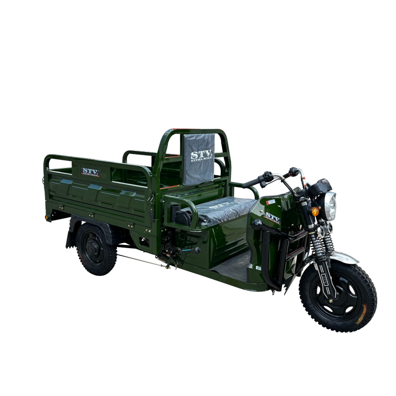 Affordable Adult Electric Tricycle for All Your Delivery Needs