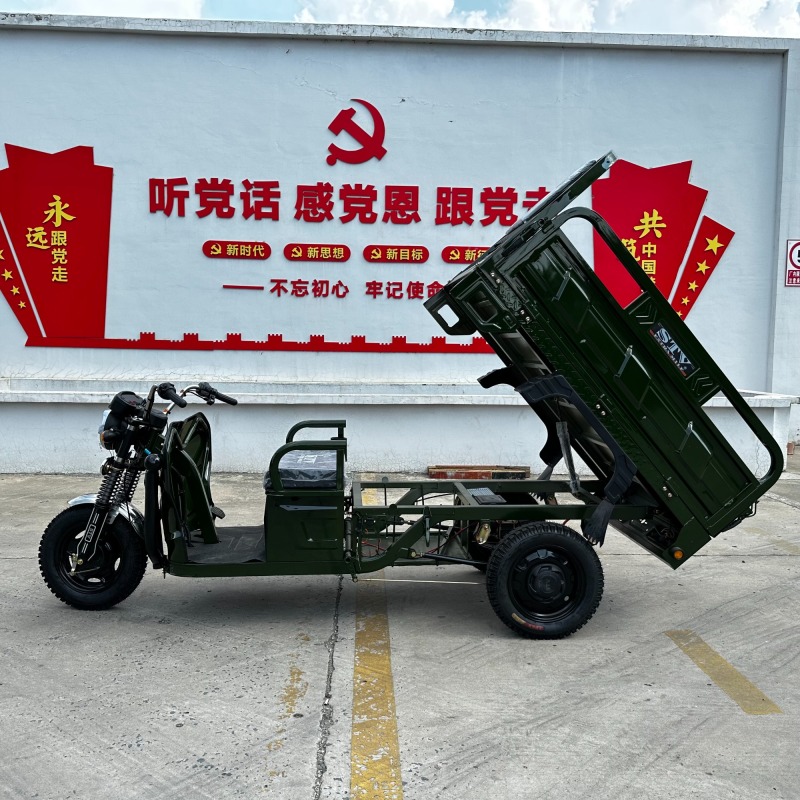 Affordable Adult Electric Tricycle for All Your Delivery Needs