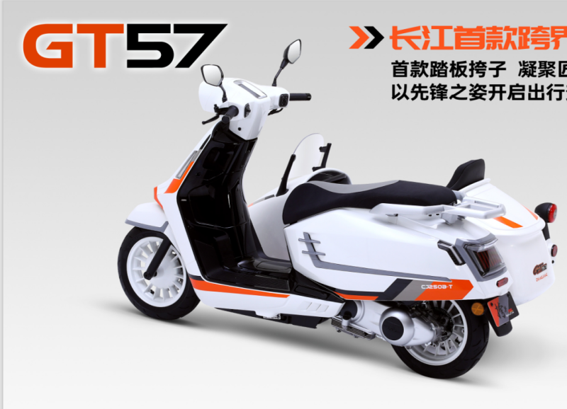 2025 New Style Stylish Small Two-Seater Tricycle Sidecar