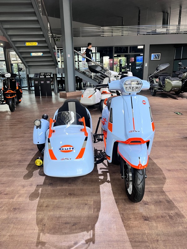 2025 New Style Stylish Small Two-Seater Tricycle Sidecar