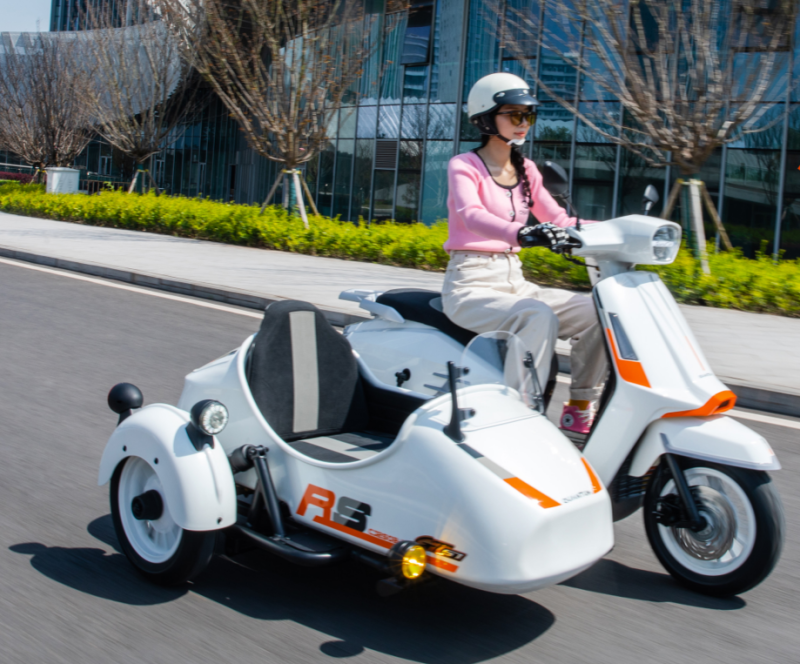 2025 New Style Stylish Small Two-Seater Tricycle Sidecar