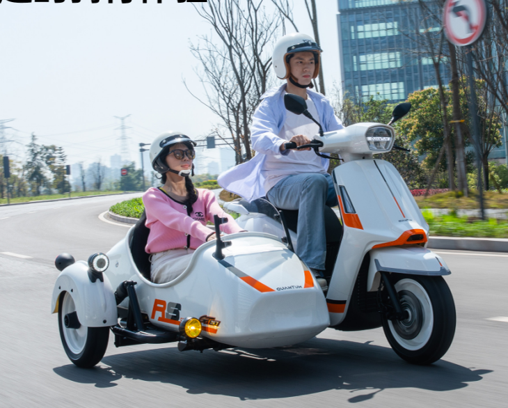 2025 New Style Stylish Small Two-Seater Tricycle Sidecar