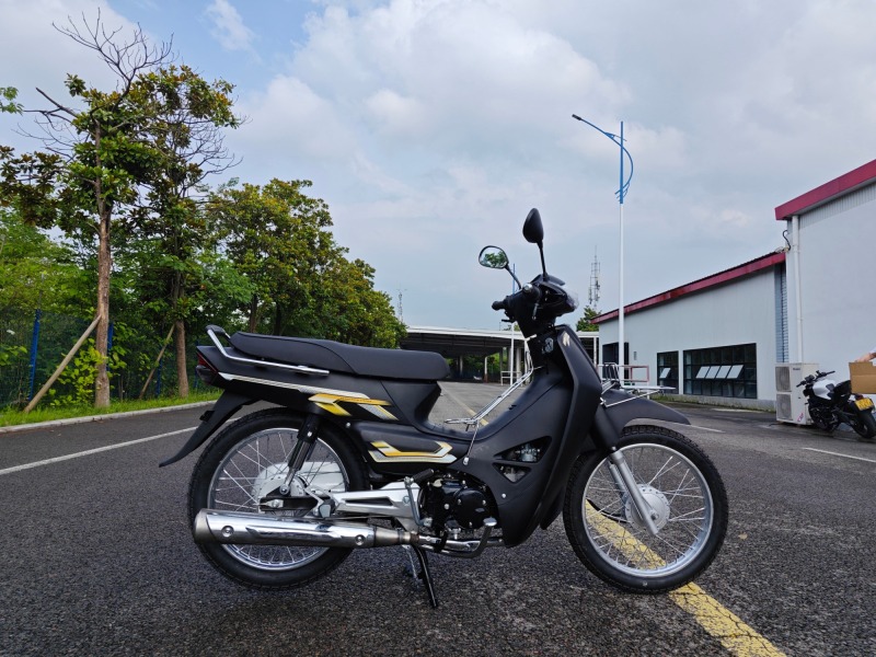 High-Quality Two-Wheeled Lightweight Four-Stroke 110cc Gasoline Motorcycle for Adults