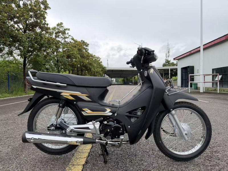 High-Quality Two-Wheeled Lightweight Four-Stroke 110cc Gasoline Motorcycle for Adults
