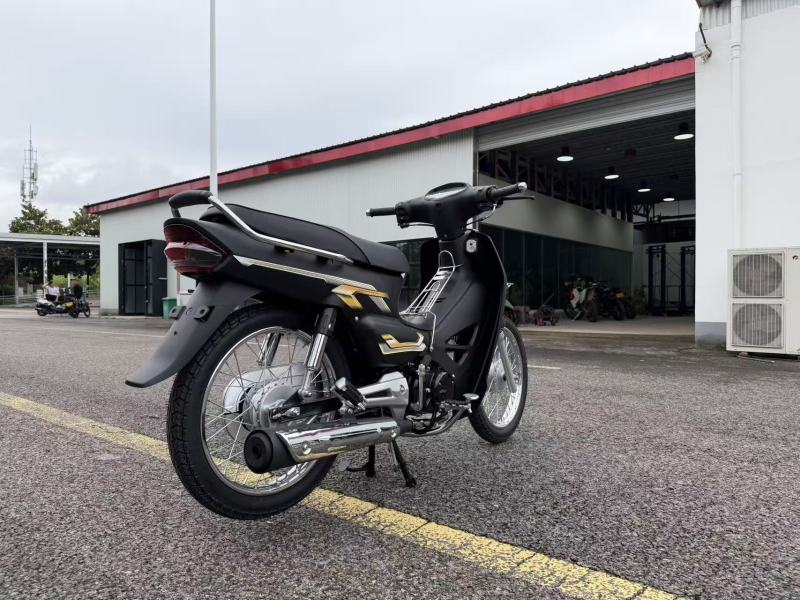 High-Quality Two-Wheeled Lightweight Four-Stroke 110cc Gasoline Motorcycle for Adults
