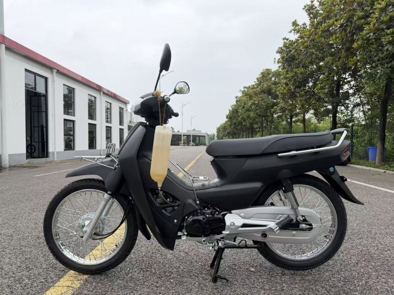 High-Quality Two-Wheeled Lightweight Four-Stroke 110cc Gasoline Motorcycle for Adults