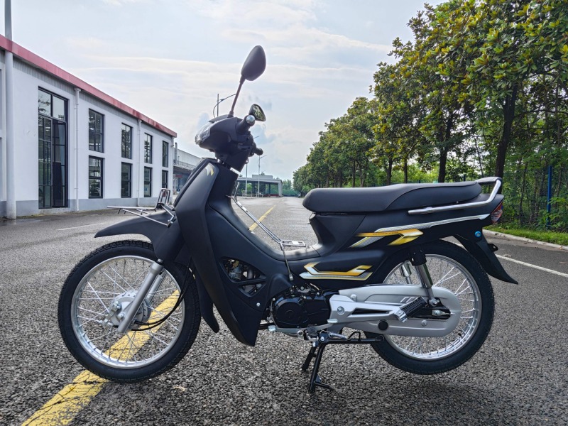 High-Quality Two-Wheeled Lightweight Four-Stroke 110cc Gasoline Motorcycle for Adults