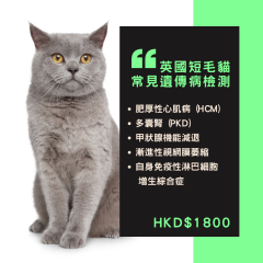【遺傳病基因檢測套餐】貓貓專用 - 英國短毛貓 Genetics Test For British Short Hair (Cat)