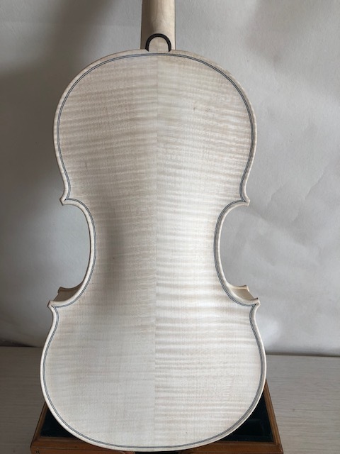 Master 4/4 Violin Guarneri model unvarnished in white solid flamed maple back old spruce top hand carved