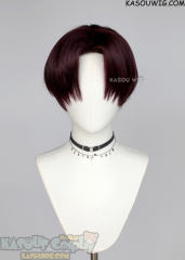 Wind Breaker Hayato Suo middle parted reddish brown wig
