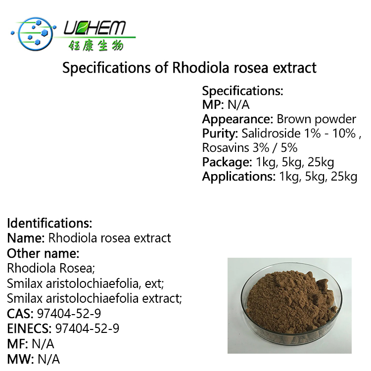 Top Quality Rhodiola Rosea Extract Salidroside cas 97404-52-9 with low price