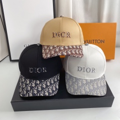 D*ior High Qulity Hats/Caps 06103084