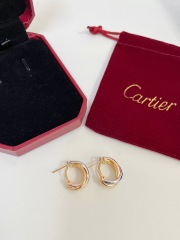 High Quality Fashion Earring 011047