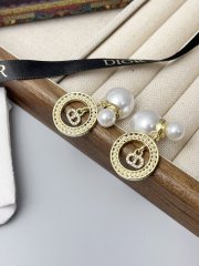 High Quality Fashion Earring 011098