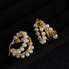 High Quality Fashion Jewelry Earrings 1013030