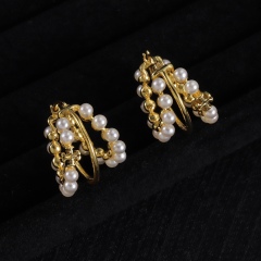 High Quality Fashion Jewelry Earrings 1013030