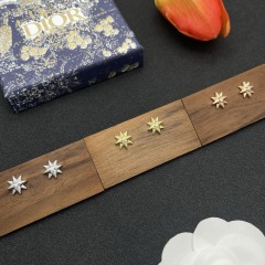 High Quality Fashion Jewelry Earrings 091122001
