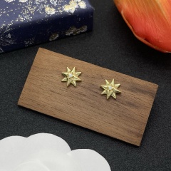 High Quality Fashion Jewelry Earrings 091122001