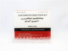 Gentamicin Injection