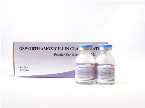 Amoxycillin Clavulanate powder for injection