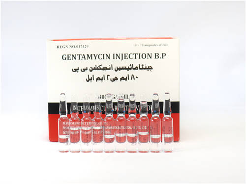 Gentamicin Injection