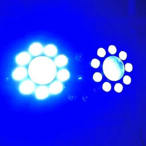 9pcs led+1 cob Led Par Light