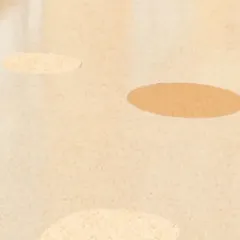 Homogeneous transparent PVC waterproof and non-slip floor