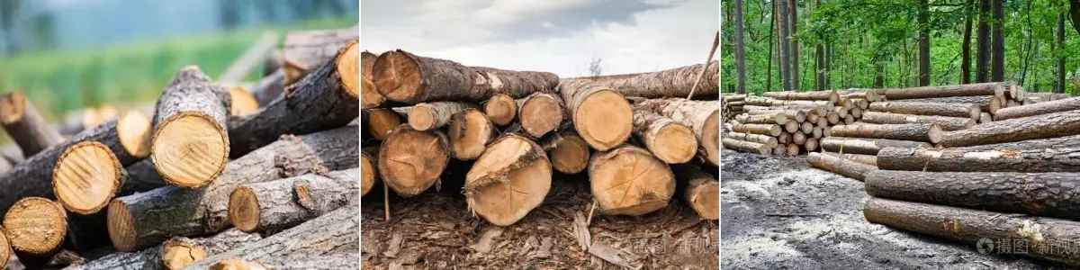 felling of trees