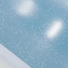 Homogeneous Transparent Plastic Floor