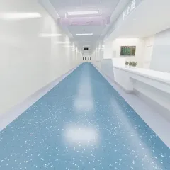 Homogeneous Transparent Plastic Floor