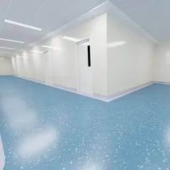 Homogeneous Transparent Plastic Floor