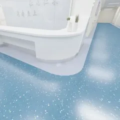 Homogeneous Transparent Plastic Floor