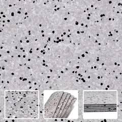 ESD Vinyl Flooring
